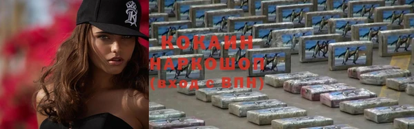 дмт Дмитровск
