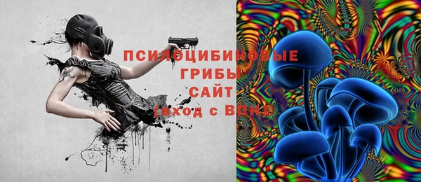 дмт Дмитровск
