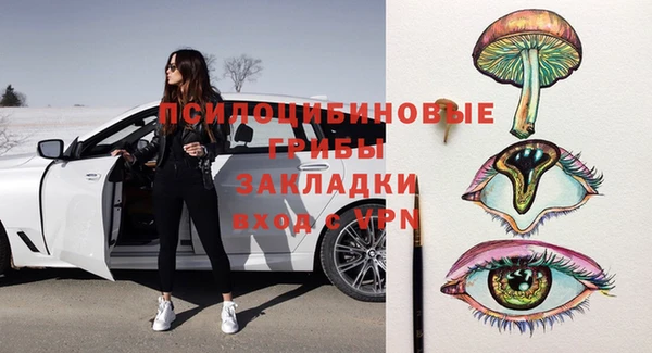 дмт Дмитровск