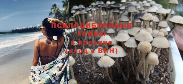 герыч Дмитриев